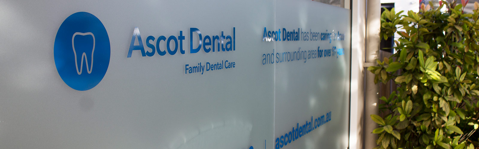 Ascot Dental Signage